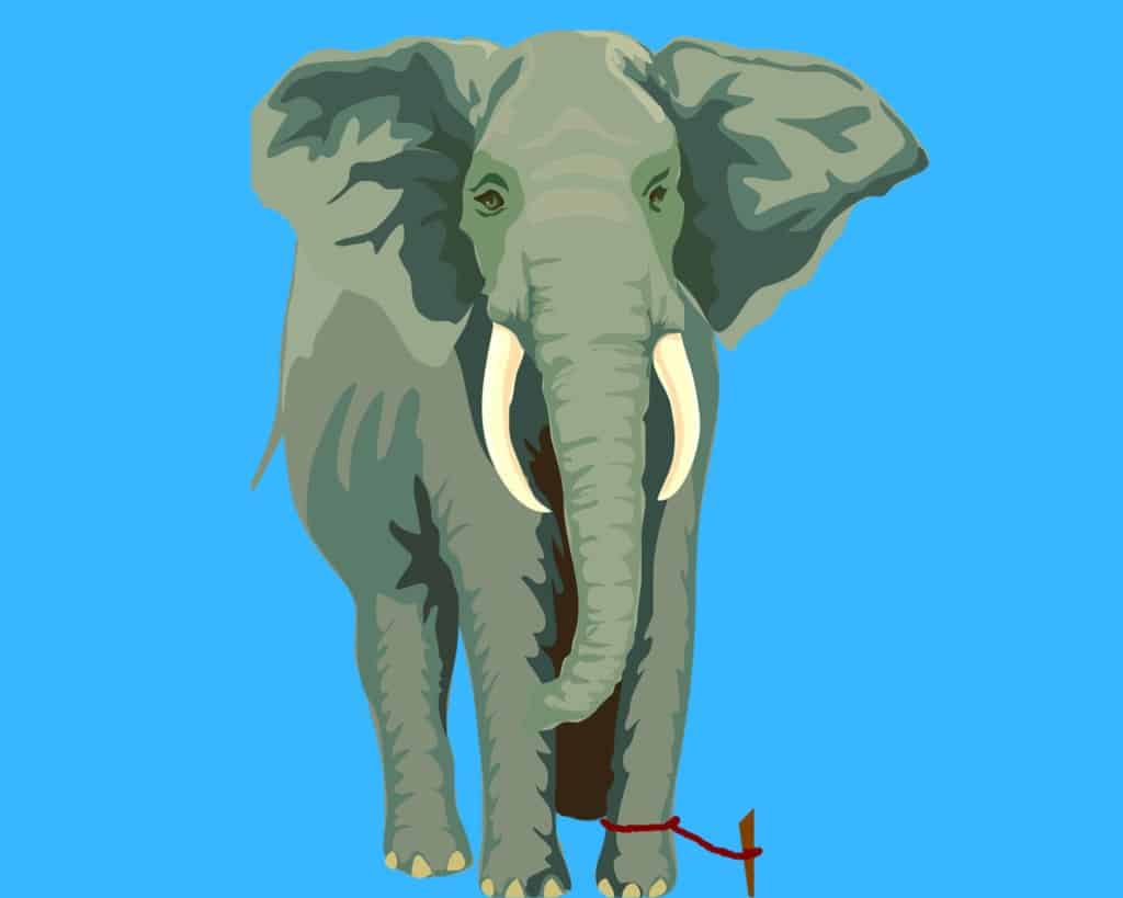 The elephant and a rope inspirational story.