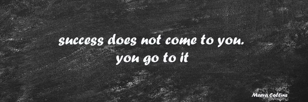 success does not come to you. you go get it.